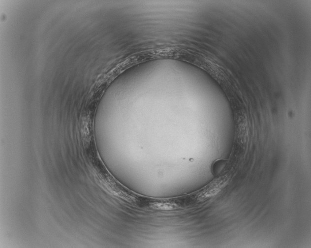 X0000053090654200508012034