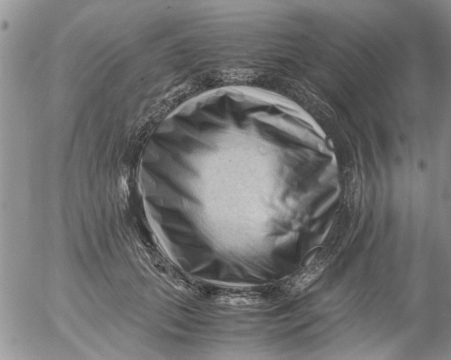 X0000053090655200508012034