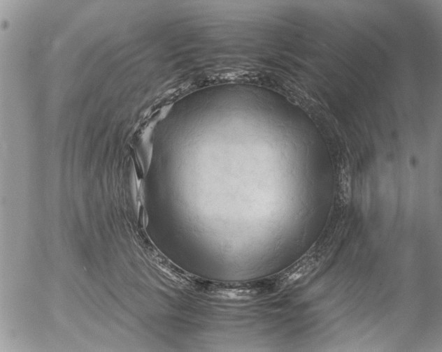 X0000053090657200508012034