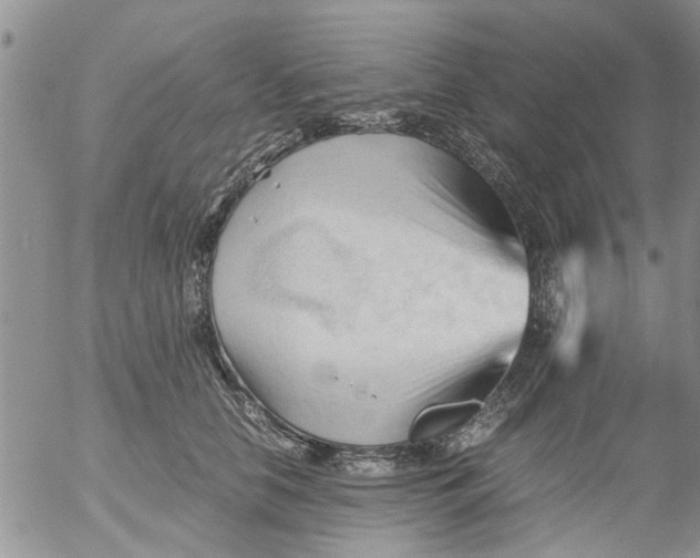 X0000053090658200508012034