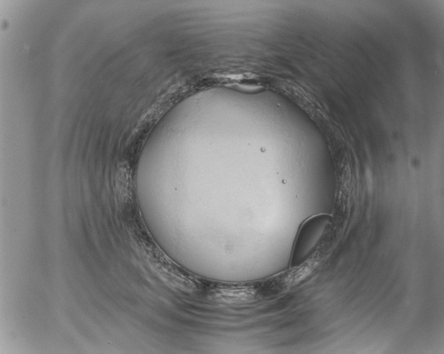 X0000053090659200508012034