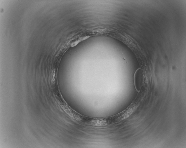 X0000053090660200508012034