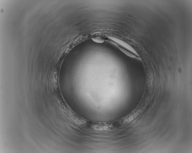 X0000053090661200508012034