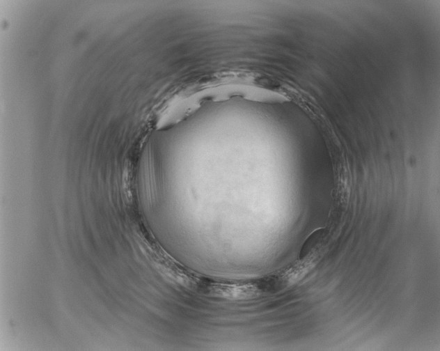 X0000053090663200508012034