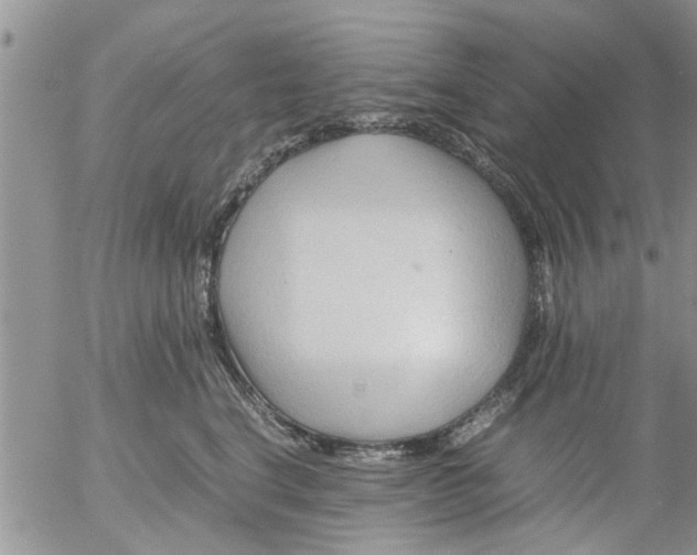 X0000053090664200508012034