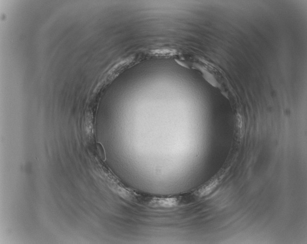 X0000053090665200508012034