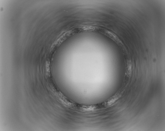 X0000053090667200508012034