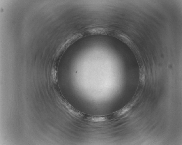 X0000053090669200508012034