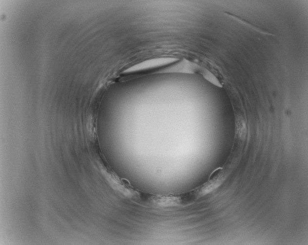 X0000053090670200508012034