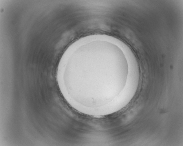 X0000053090672200508012034