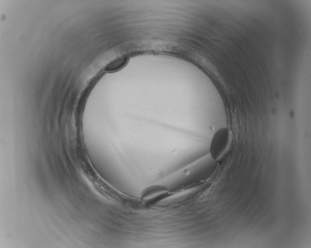 X0000053090674200508012033