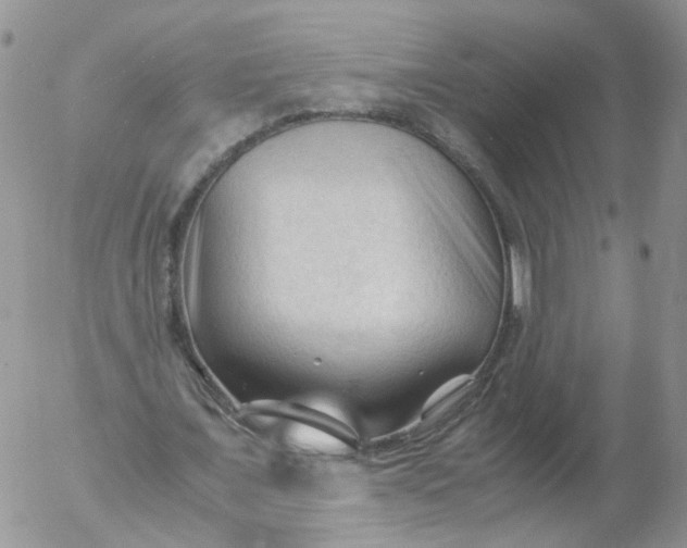 X0000053090675200508012033