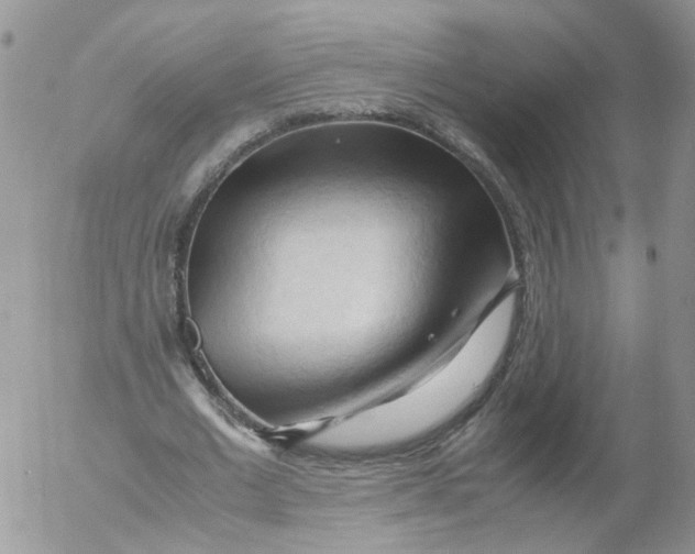 X0000053090677200508012033