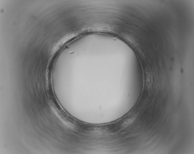 X0000053090678200508012033