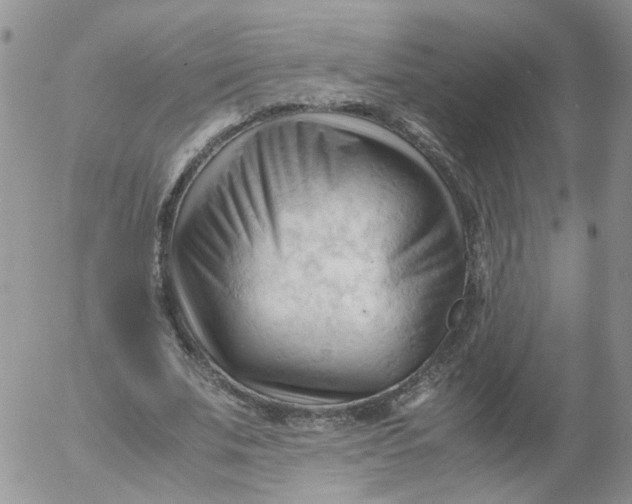 X0000053090679200508012033