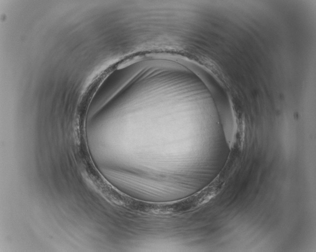 X0000053090680200508012033