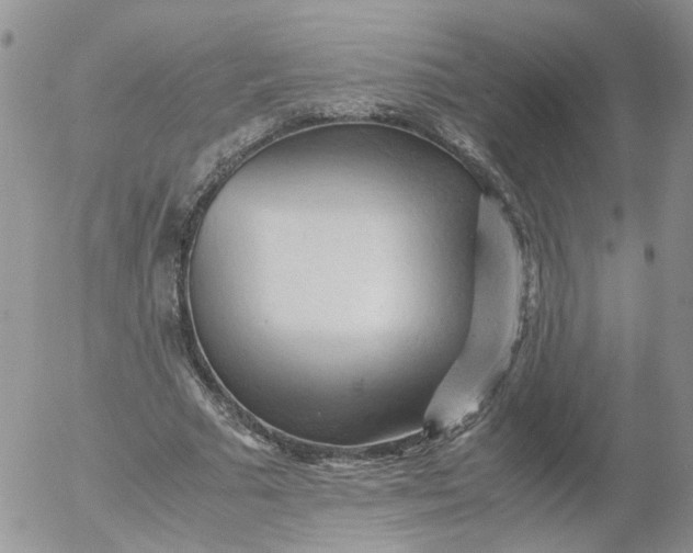 X0000053090681200508012033