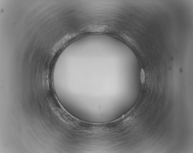 X0000053090682200508012033