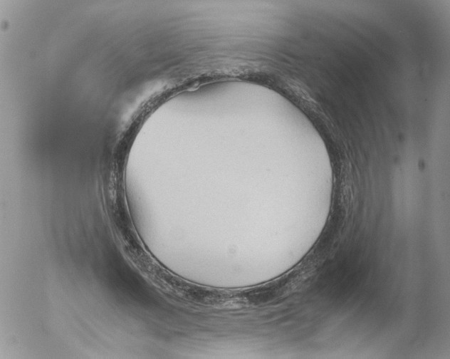 X0000053090683200508012033