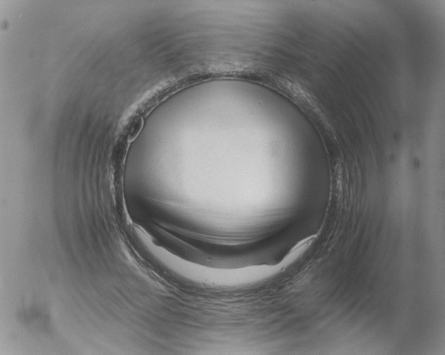 X0000053090684200508012033