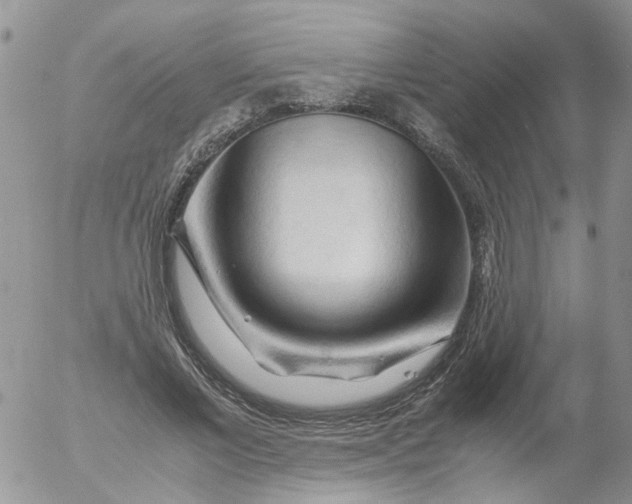 X0000053090685200508012033