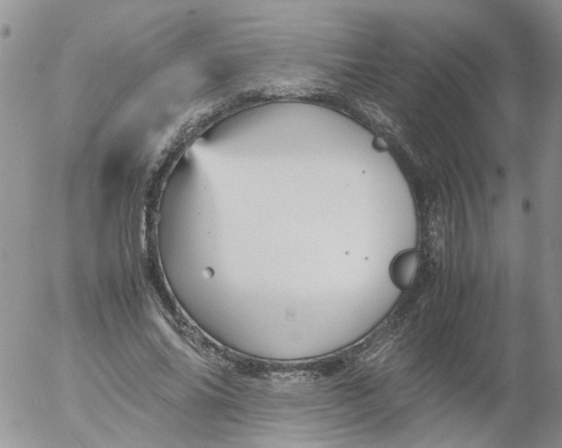 X0000053090686200508012033