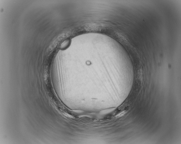 X0000053090687200508012033