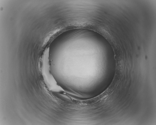 X0000053090688200508012033