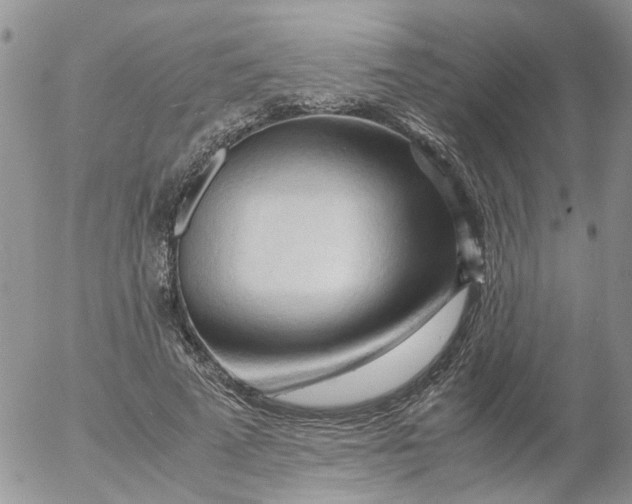 X0000053090689200508012033