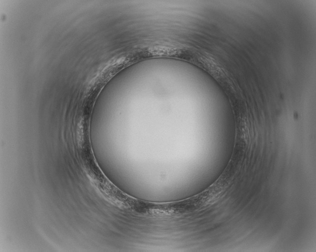 X0000053090690200508012033