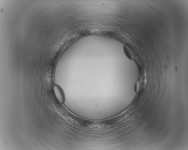 X0000053090691200508012033