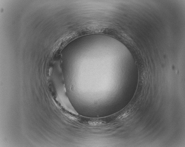 X0000053090693200508012033