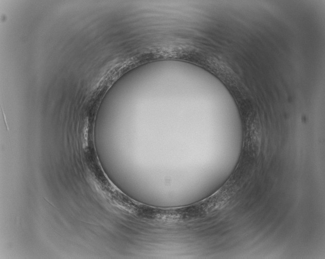 X0000053090694200508012033