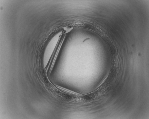 X0000053090695200508012033