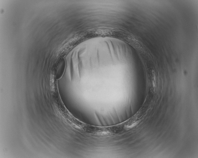 X0000053090696200508012033