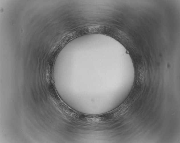 X0000053090698200508012033