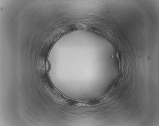 X0000053090699200508012033