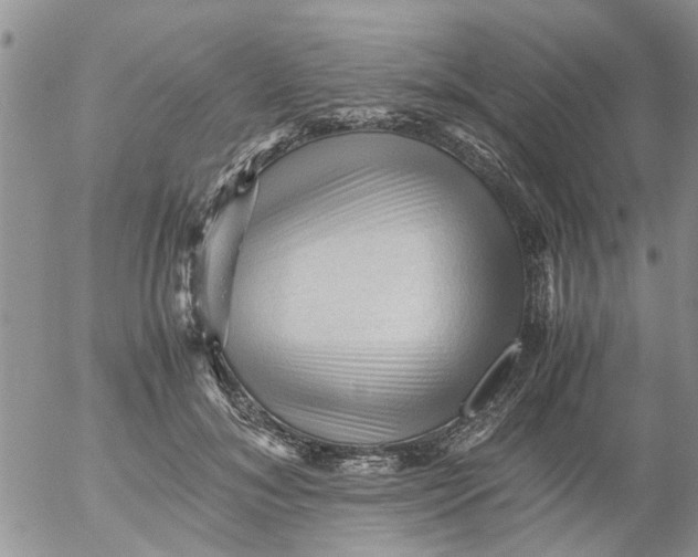 X0000053090700200508012033