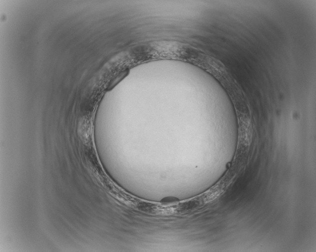 X0000053090701200508012033