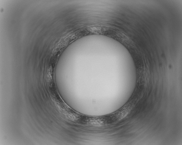 X0000053090702200508012033