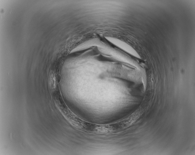 X0000053090703200508012033