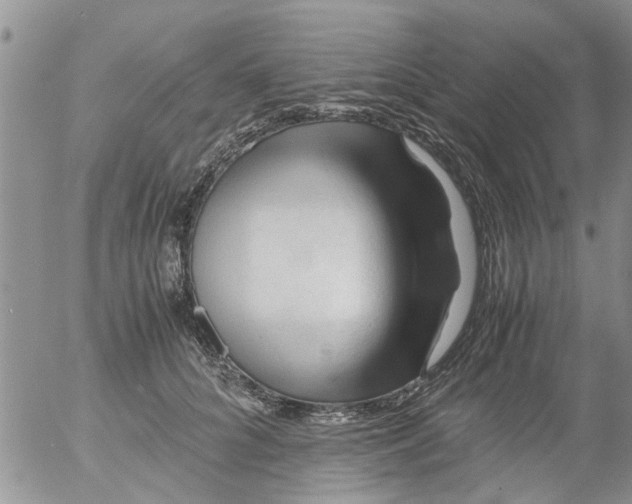 X0000053090704200508012033