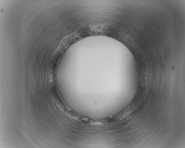 X0000053090706200508012032