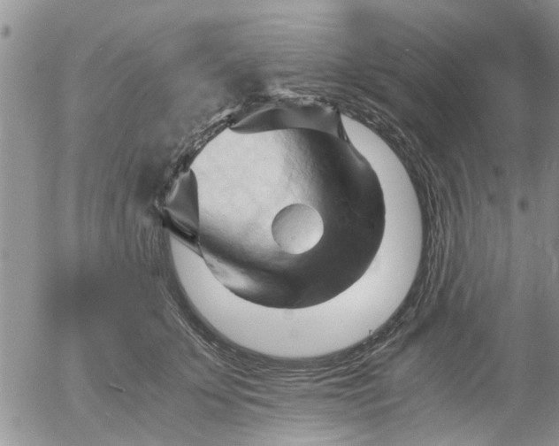 X0000053090707200508012032