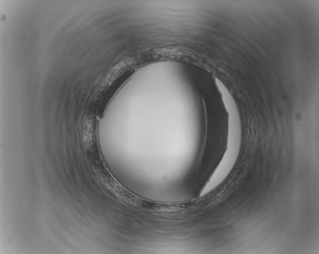 X0000053090708200508012032