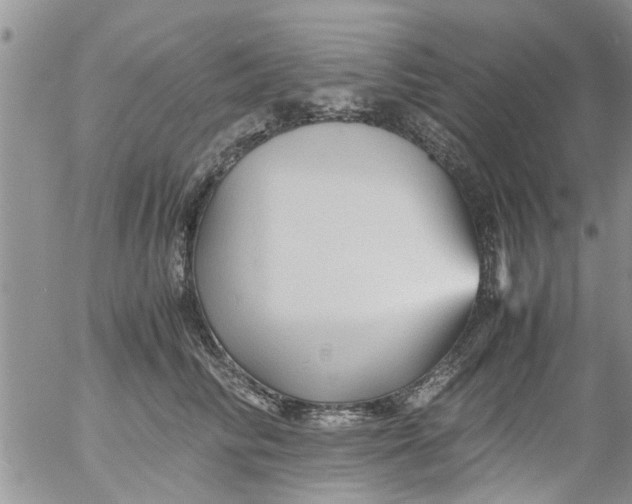 X0000053090710200508012032