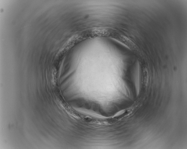 X0000053090712200508012032