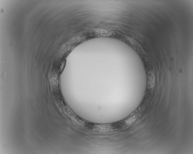 X0000053090713200508012032