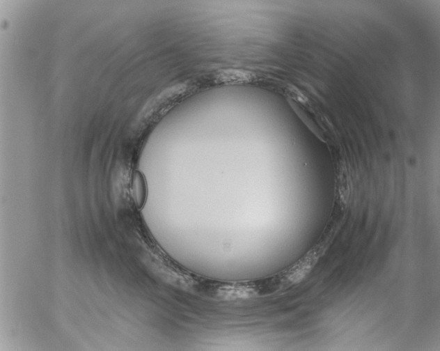 X0000053090714200508012032