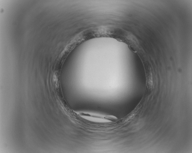 X0000053090715200508012032